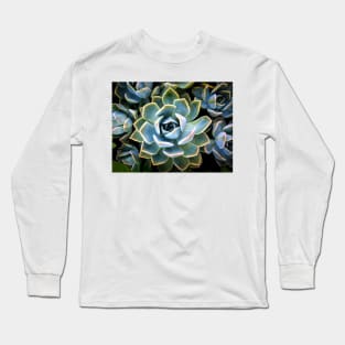 Above the Succulents Long Sleeve T-Shirt